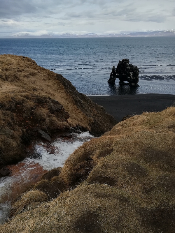 Le Rocher Hvítserkur au large de l'Islande