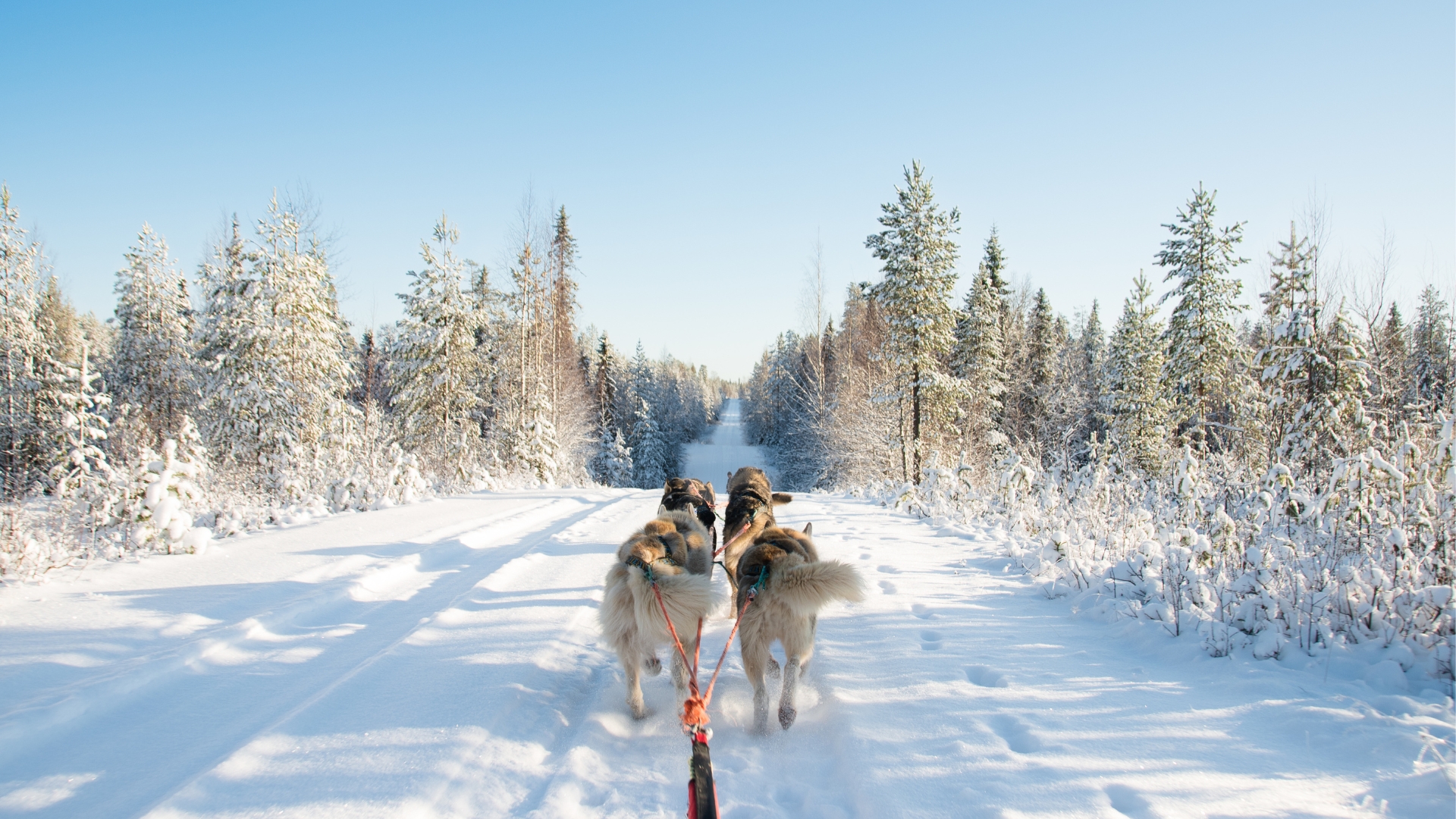 ❄️ Luleå : escale nordique au cœur de l’hiver suédoise
